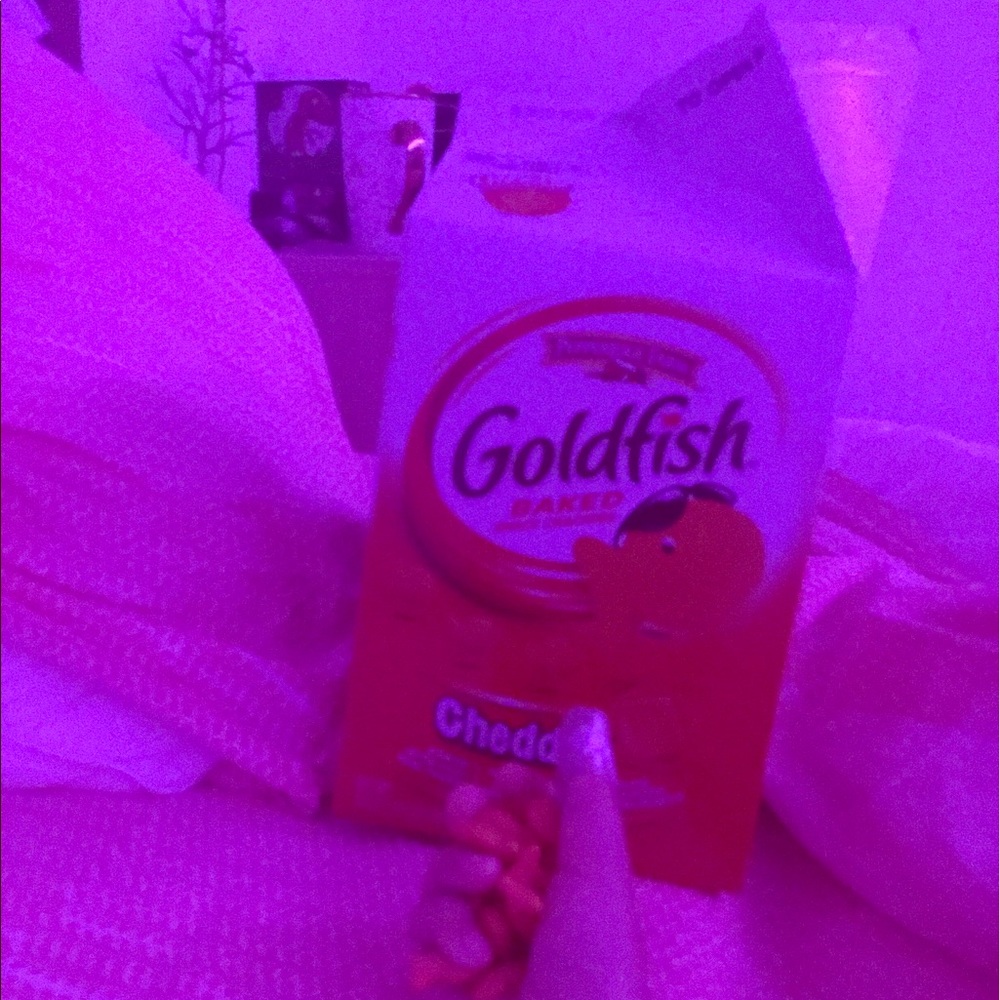 Pink goldfish